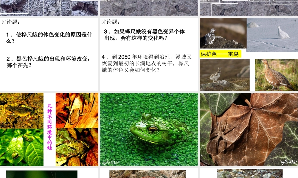 八年级生物下册 7.3.3 生物进化的原因课件（2） 新人教版-新人教级下册生物课件