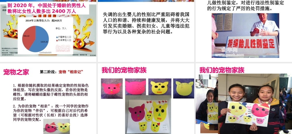 八年级生物下册 22.3 人的性别决定说课课件 （新版）苏教版-（新版）苏教版初中八年级下册生物课件