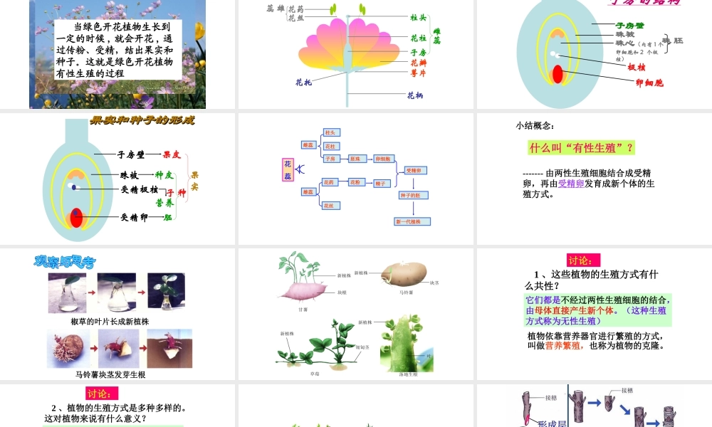 八年级生物下册 7.1.1植物的生殖课件2 （新版）新人教版-（新版）新人教级下册生物课件