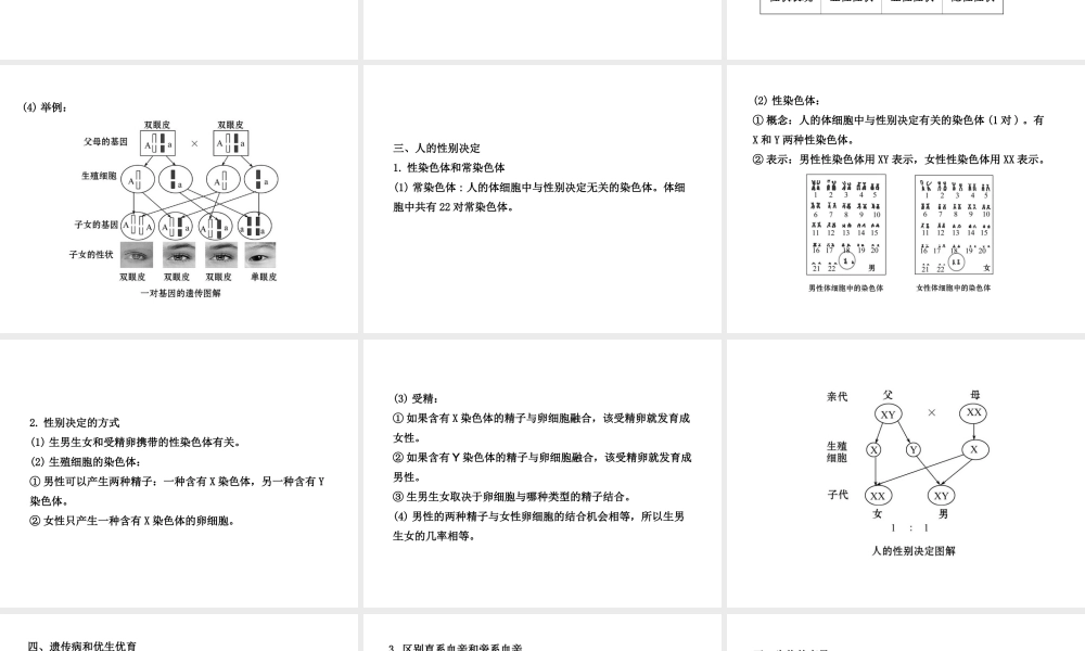 八年级生物下册 第15章 生物的遗传和变异 阶段复习课课件 苏教版