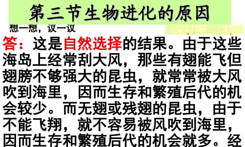八年级生物下册 7.3.3 生物进化的原因课件1 （新版）新人教版-（新版）新人教版初中八年级下册生物课件