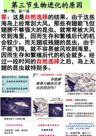 八年级生物下册 7.3.3 生物进化的原因课件1 （新版）新人教版-（新版）新人教版初中八年级下册生物课件