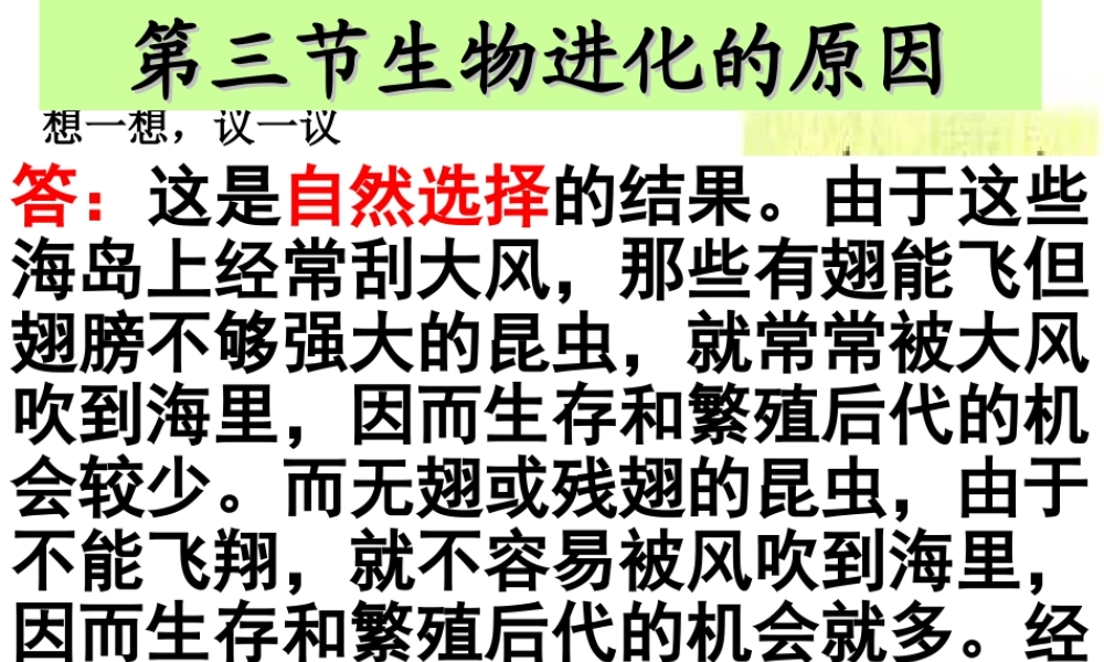 八年级生物下册 7.3.3 生物进化的原因课件1 （新版）新人教版-（新版）新人教级下册生物课件