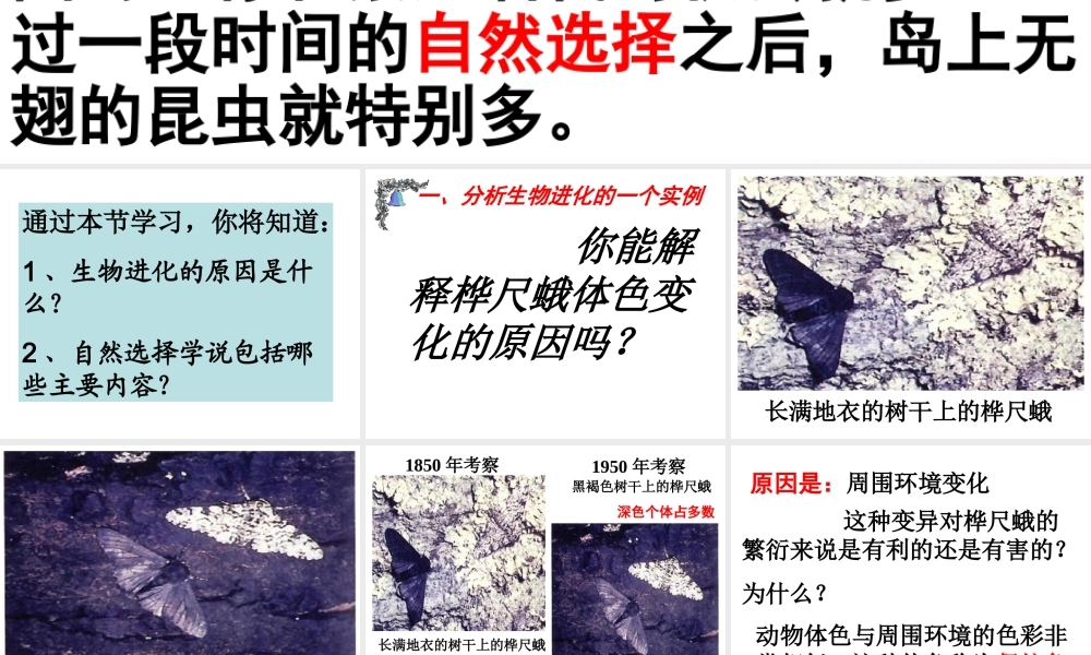 八年级生物下册 7.3.3 生物进化的原因课件1 （新版）新人教版-（新版）新人教级下册生物课件