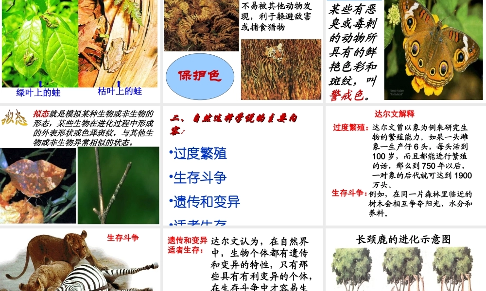 八年级生物下册 7.3.3 生物进化的原因课件1 （新版）新人教版-（新版）新人教级下册生物课件