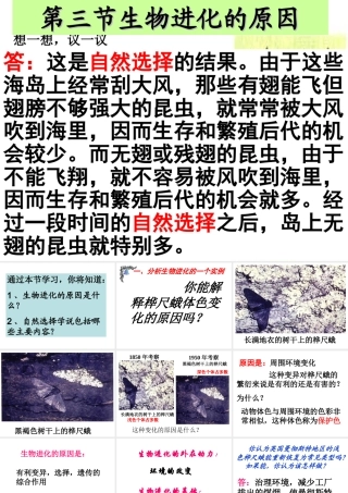 八年级生物下册 7.3.3 生物进化的原因课件1 （新版）新人教版-（新版）新人教级下册生物课件
