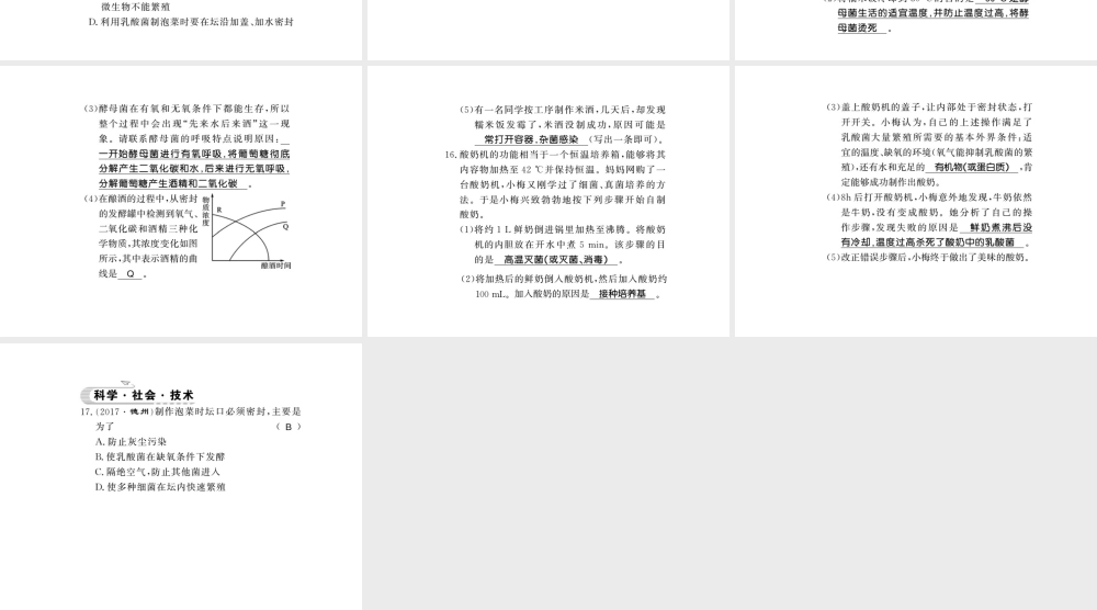 八年级生物下册 25.1 发酵技术课件 （新版）北师大版-（新版）北师大级下册生物课件