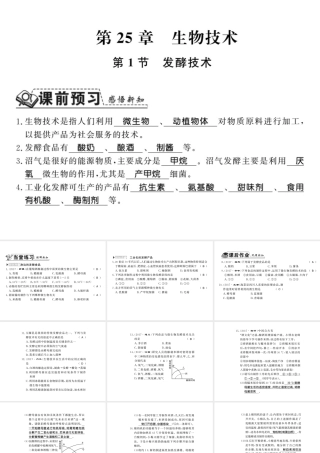 八年级生物下册 25.1 发酵技术课件 （新版）北师大版-（新版）北师大级下册生物课件