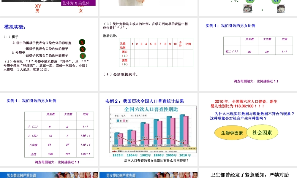 八年级生物下册 22.3 人的性别决定说课课件 （新版）苏教版-（新版）苏教级下册生物课件