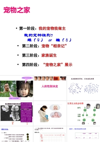 八年级生物下册 22.3 人的性别决定说课课件 （新版）苏教版-（新版）苏教级下册生物课件