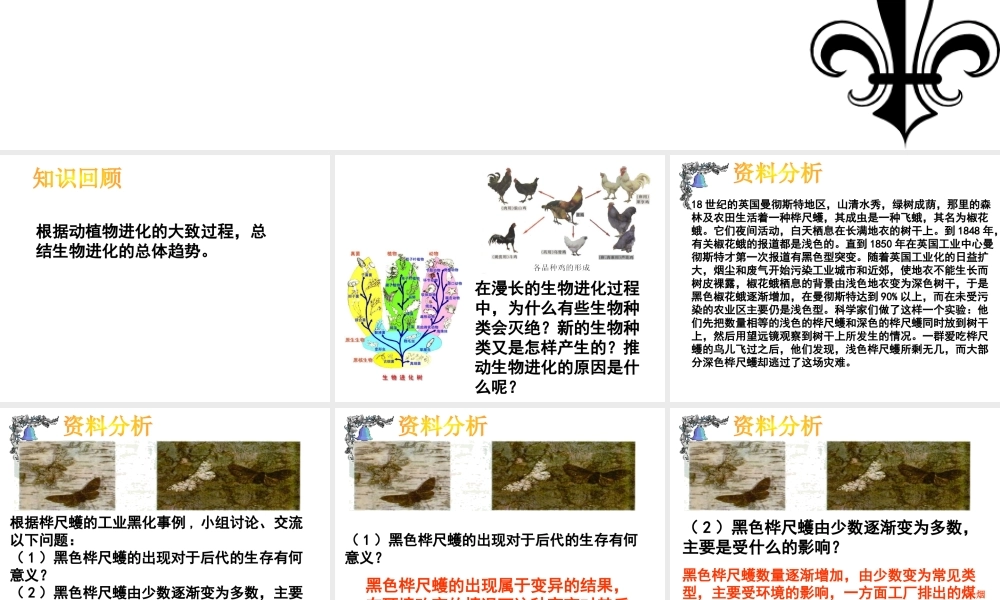 八年级生物下册 7.3.3 生物进化的原因课件1 （新版）新人教版