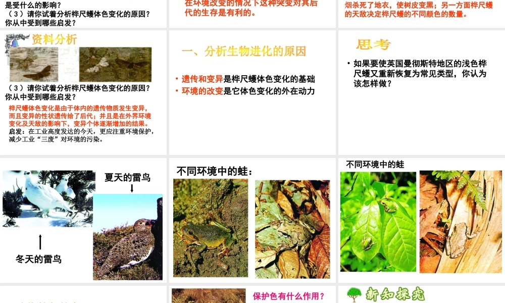 八年级生物下册 7.3.3 生物进化的原因课件1 （新版）新人教版