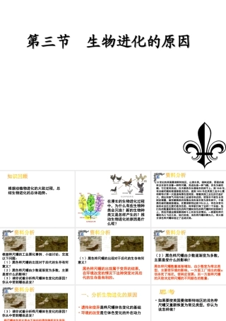 八年级生物下册 7.3.3 生物进化的原因课件1 （新版）新人教版