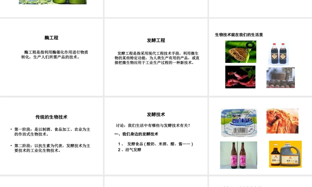 八年级生物下册 25.1《发酵技术》课件1 （新版）北师大版-（新版）北师大版初中八年级下册生物课件