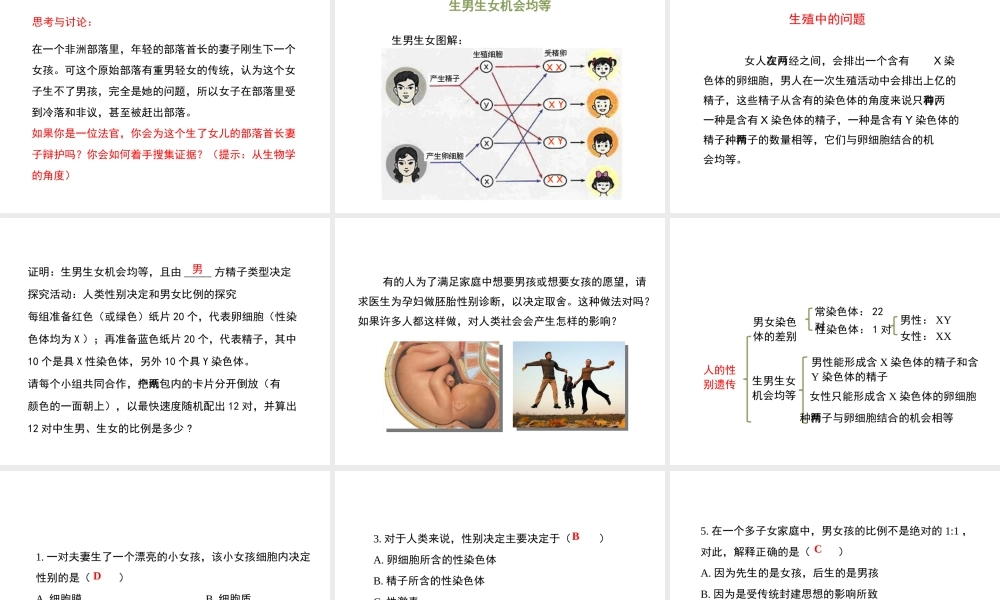 八年级生物下册 7.2.4 人的性别遗传教学课件 （新版）新人教版-（新版）新人教版初中八年级下册生物课件
