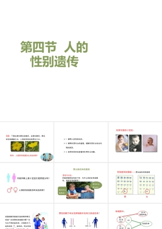 八年级生物下册 7.2.4 人的性别遗传教学课件 （新版）新人教版-（新版）新人教版初中八年级下册生物课件