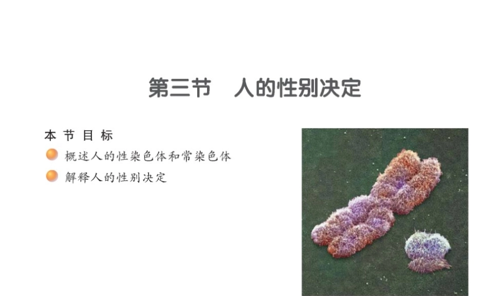 八年级生物下册 22.3 人的性别选择课件 （新版）苏教版-（新版）苏教版初中八年级下册生物课件