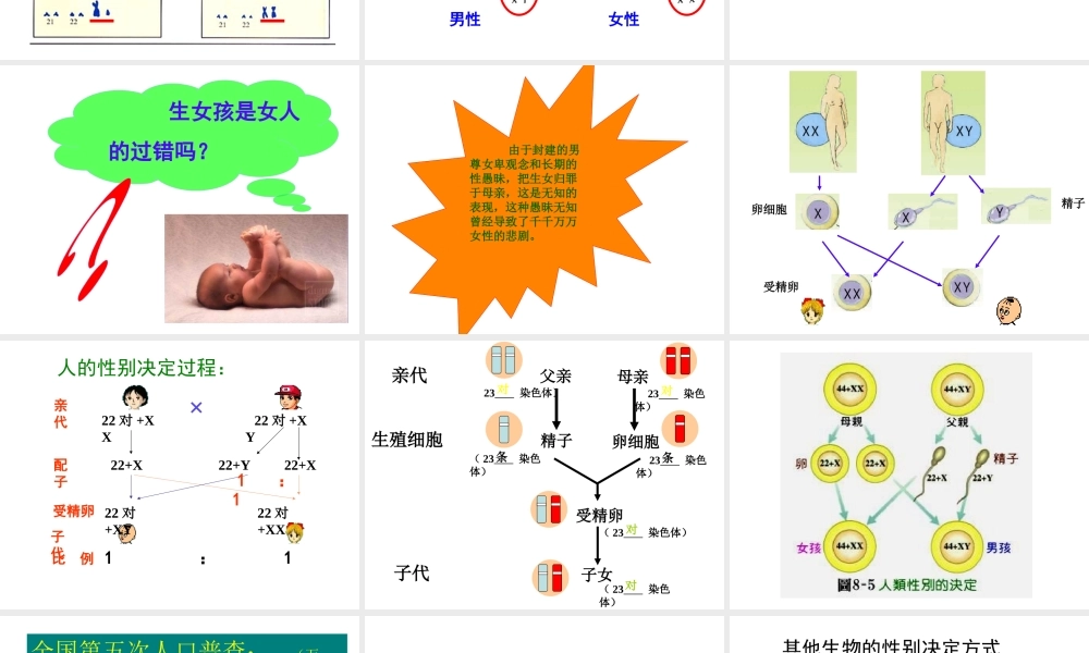 八年级生物下册 22.3 人的性别选择课件 （新版）苏教版-（新版）苏教版初中八年级下册生物课件