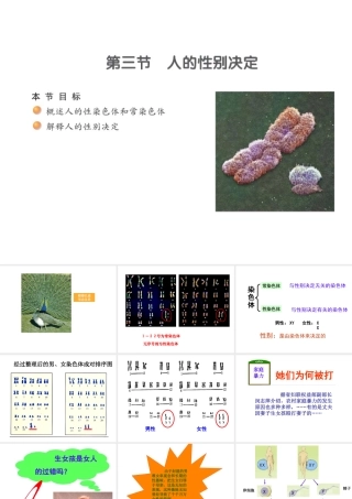八年级生物下册 22.3 人的性别选择课件 （新版）苏教版-（新版）苏教版初中八年级下册生物课件