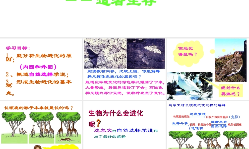 八年级生物下册 7.3.3 生物进化的原因课件2 （新版）新人教版-（新版）新人教版初中八年级下册生物课件