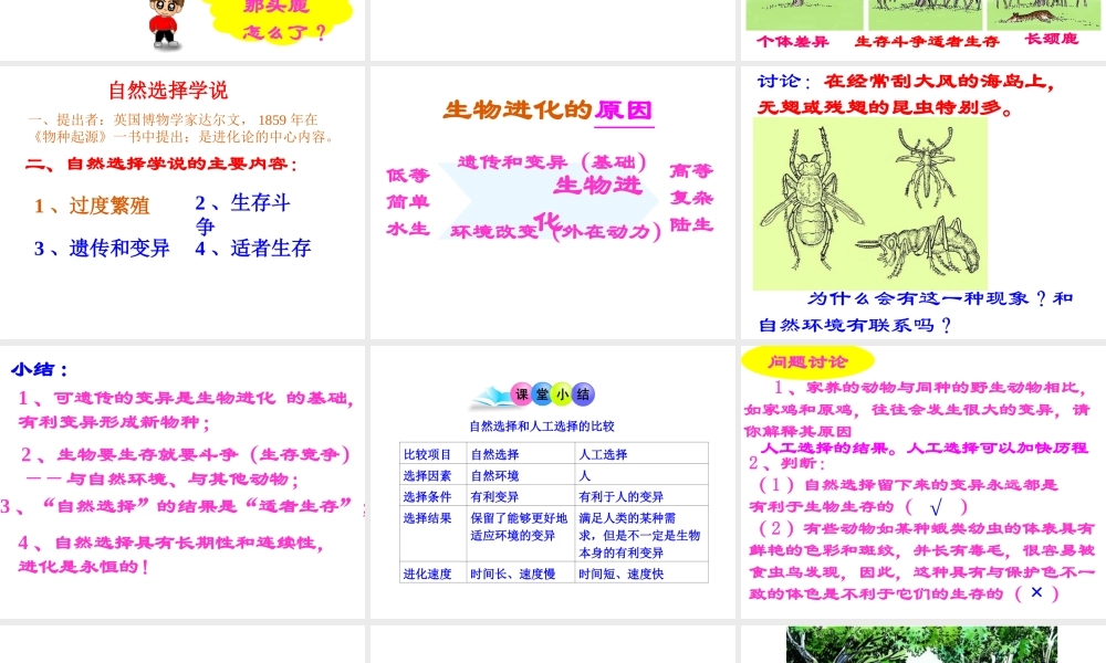 八年级生物下册 7.3.3 生物进化的原因课件2 （新版）新人教版-（新版）新人教版初中八年级下册生物课件