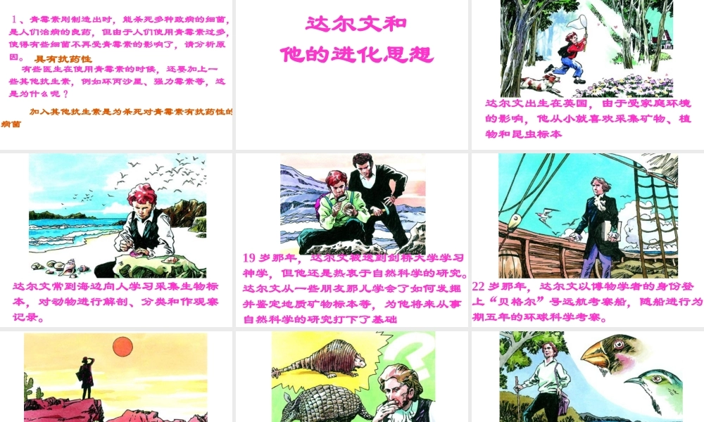 八年级生物下册 7.3.3 生物进化的原因课件2 （新版）新人教版-（新版）新人教版初中八年级下册生物课件