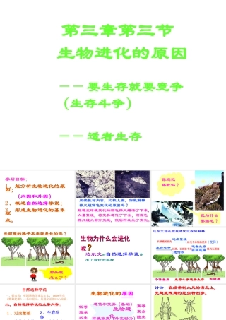 八年级生物下册 7.3.3 生物进化的原因课件2 （新版）新人教版-（新版）新人教版初中八年级下册生物课件