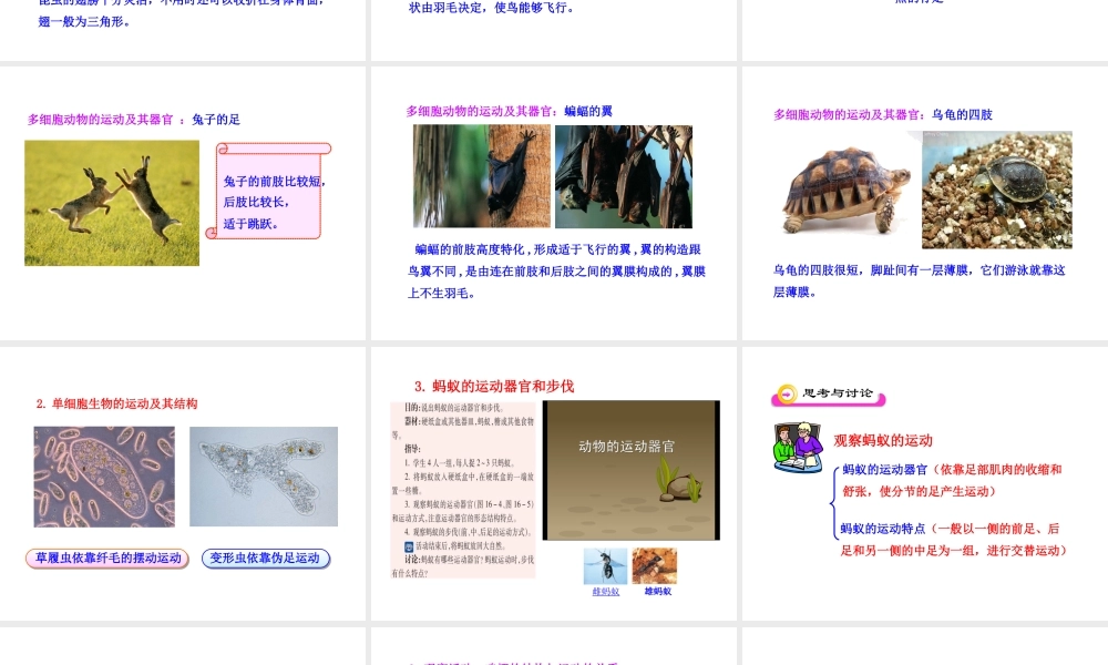 八年级生物下册 第16章 第二节 动物运动的能量来源课件 苏教版