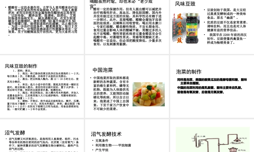 八年级生物下册 25.1《发酵技术》课件2 （新版）北师大版-（新版）北师大版初中八年级下册生物课件