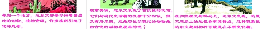 八年级生物下册 7.3.3 生物进化的原因课件2 （新版）新人教版-（新版）新人教级下册生物课件