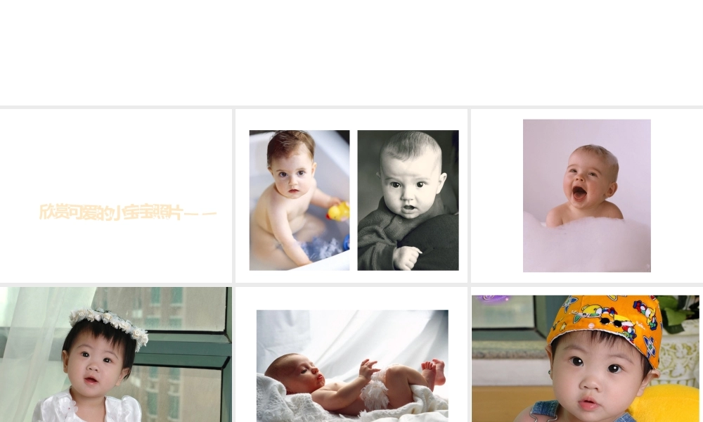 八年级生物下册 7.2.4 人的性别遗传课件 （新版）新人教版-（新版）新人教版初中八年级下册生物课件