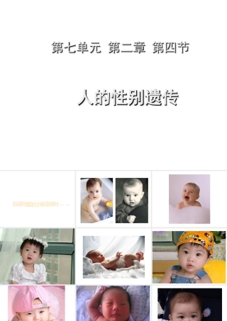 八年级生物下册 7.2.4 人的性别遗传课件 （新版）新人教版-（新版）新人教版初中八年级下册生物课件