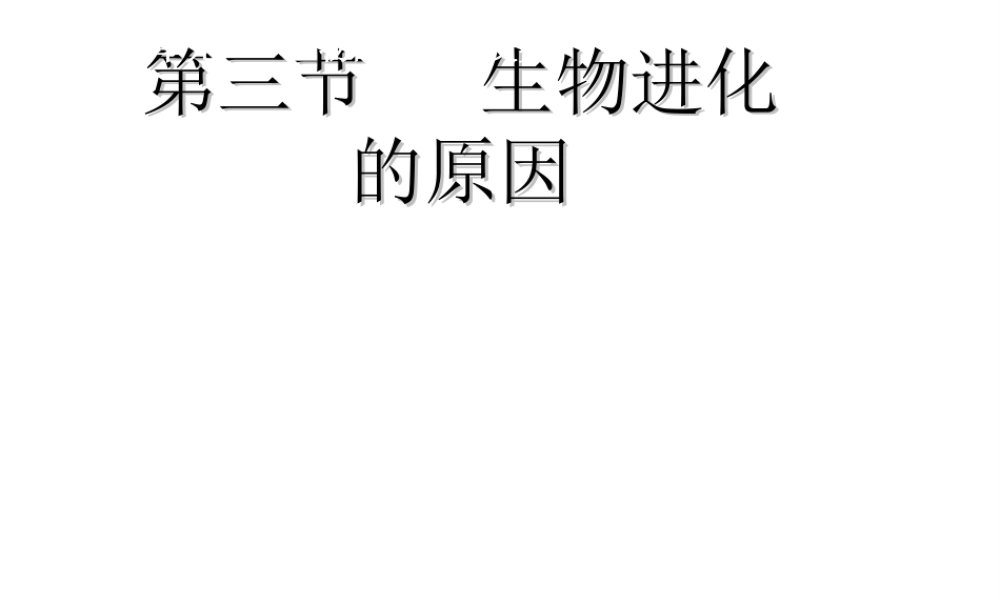 八年级生物下册 7.3.3 生物进化的原因课件2 （新版）新人教版