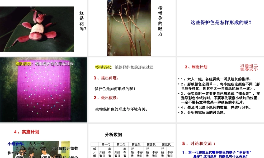 八年级生物下册 7.3.3 生物进化的原因课件2 （新版）新人教版