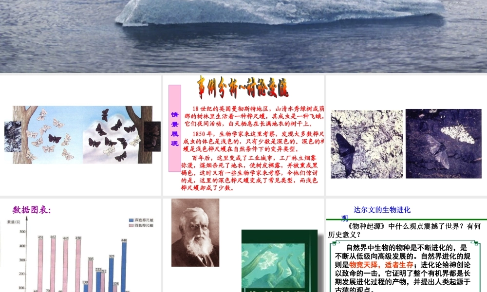 八年级生物下册 7.3.3 生物进化的原因课件3 （新版）新人教版-（新版）新人教版初中八年级下册生物课件