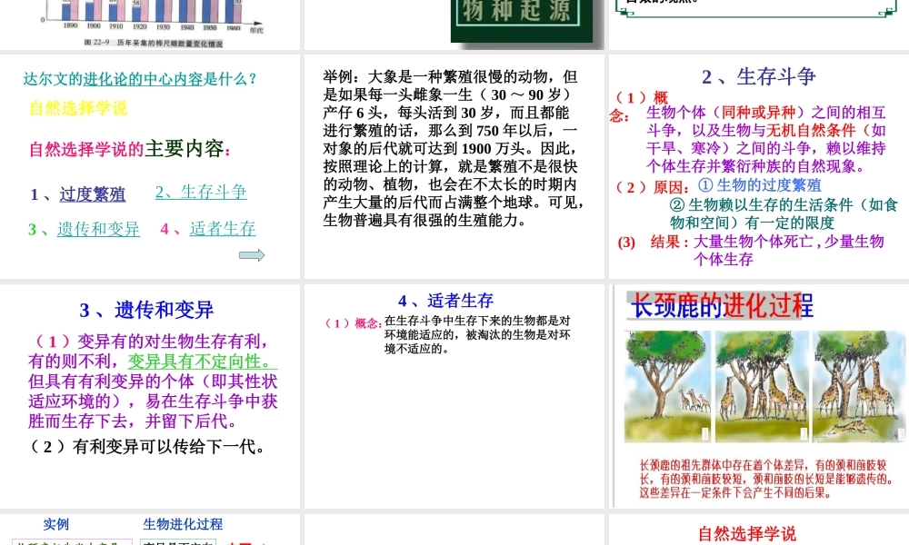 八年级生物下册 7.3.3 生物进化的原因课件3 （新版）新人教版-（新版）新人教版初中八年级下册生物课件