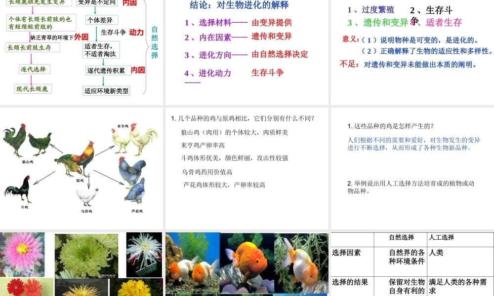八年级生物下册 7.3.3 生物进化的原因课件3 （新版）新人教版-（新版）新人教版初中八年级下册生物课件