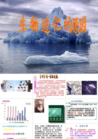 八年级生物下册 7.3.3 生物进化的原因课件3 （新版）新人教版-（新版）新人教版初中八年级下册生物课件