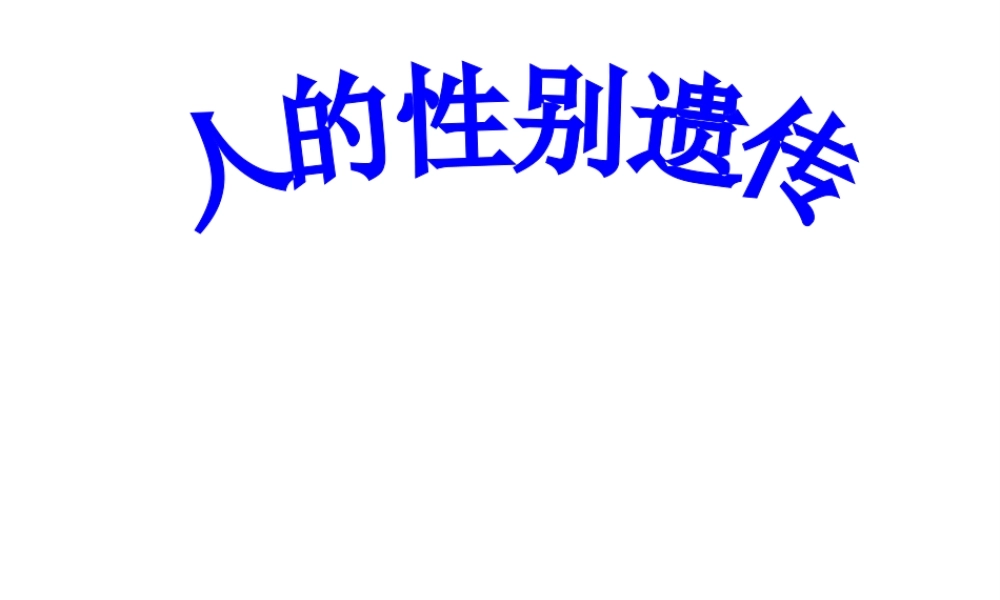 八年级生物下册 7.2.4 人的性别遗传课件 （新版）新人教版