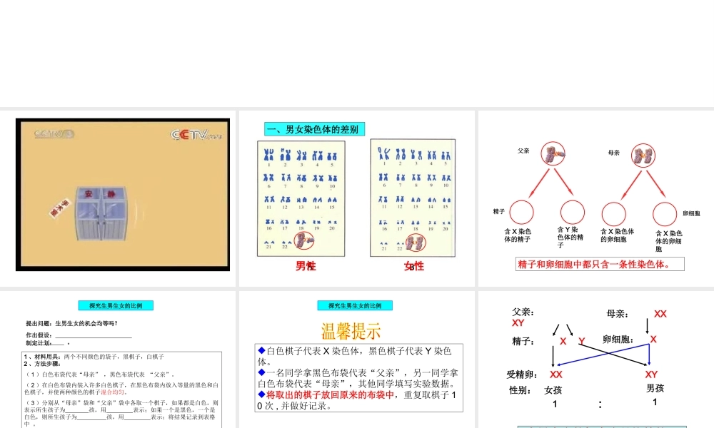 八年级生物下册 7.2.4 人的性别遗传课件 （新版）新人教版