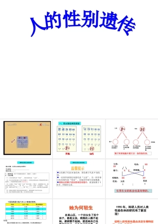 八年级生物下册 7.2.4 人的性别遗传课件 （新版）新人教版