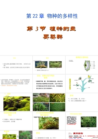 八年级生物下册 22.3 植物的主要类群课件 （新版）北师大版-（新版）北师大版初中八年级下册生物课件