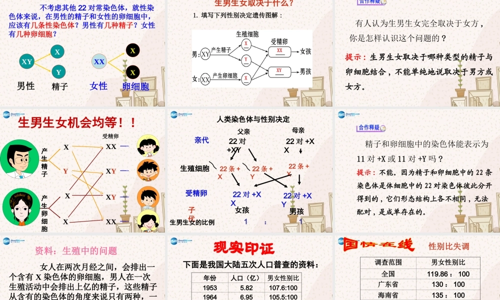 八年级生物下册 7.2.4 人的性别遗传课件 新人教版