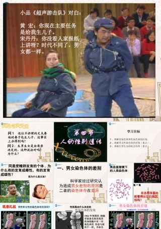 八年级生物下册 7.2.4 人的性别遗传课件 新人教版