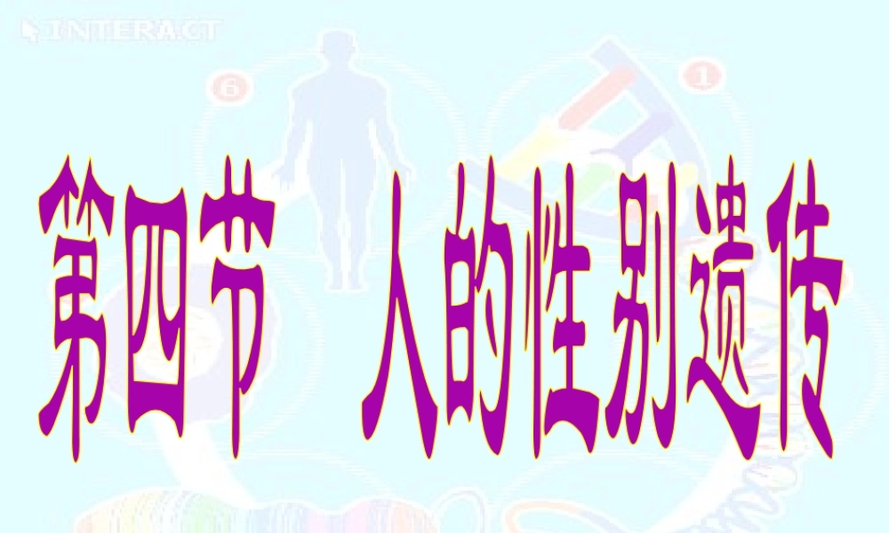 八年级生物下册 7.2.4 人的性别遗传课件 新人教版-新人教版初中八年级下册生物课件