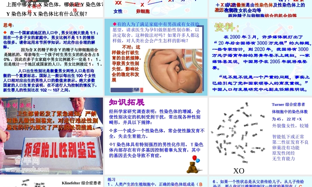 八年级生物下册 7.2.4 人的性别遗传课件 新人教版-新人教版初中八年级下册生物课件