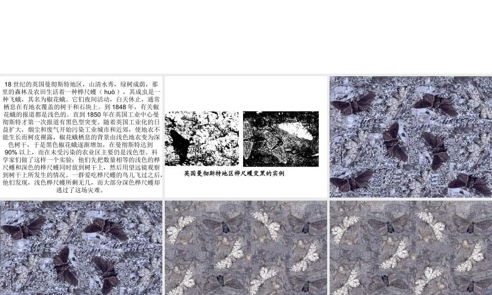 八年级生物下册 7.3.3 生物进化的原因课件4 （新版）新人教版