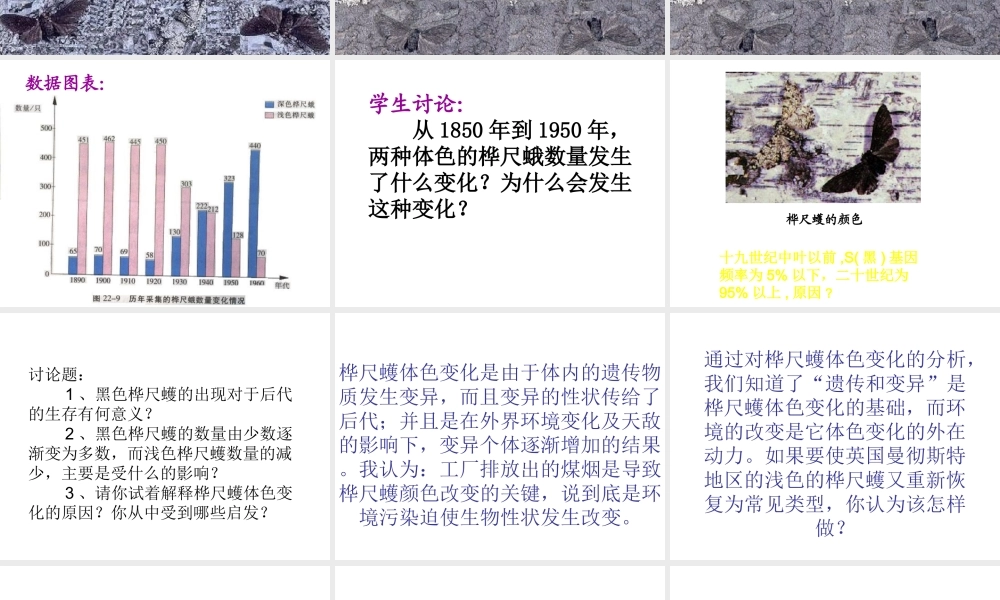 八年级生物下册 7.3.3 生物进化的原因课件4 （新版）新人教版