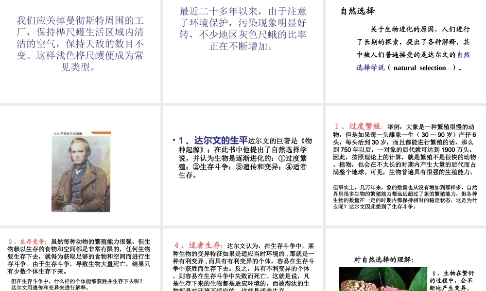 八年级生物下册 7.3.3 生物进化的原因课件4 （新版）新人教版