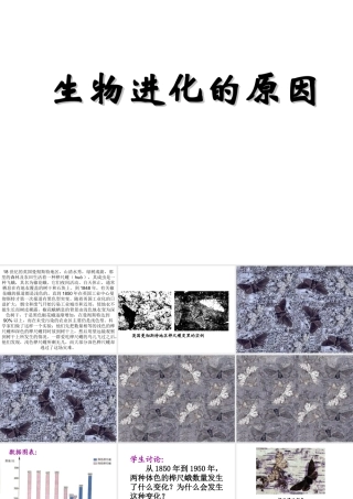 八年级生物下册 7.3.3 生物进化的原因课件4 （新版）新人教版